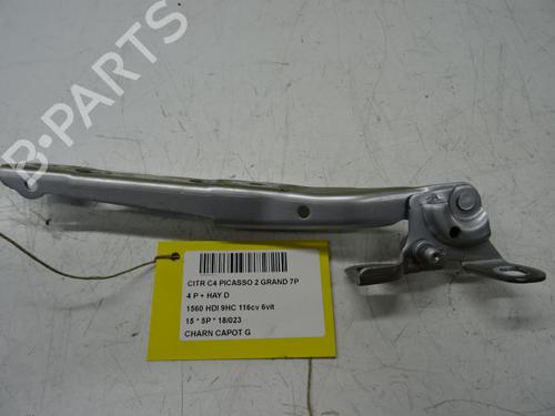 Used Hinge/Door check strap CITROËN C4 Grand Picasso II (DA_, DE_) 1.6 HDi / BlueHDi 115 (115 hp) 20275234