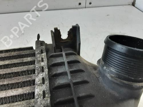 Intercooler FORD FOCUS II Turnier (DA_, FFS, DS) 1.6 TDCi | BP20288646M30 