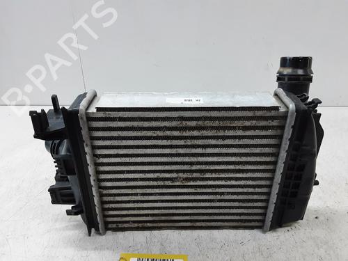 Intercooler NISSAN JUKE (F16_) DIG-T 117 | BP36800530M30  - Image 5