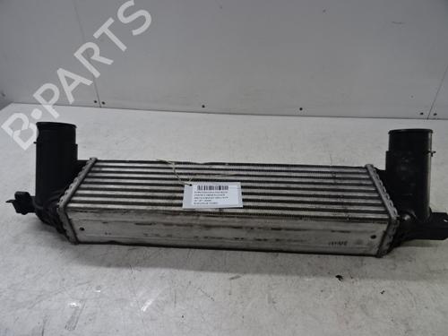 Used Intercooler Intercooler FORD USA MUSTANG Coupe 2.3 EcoBoost (290 hp) 20272936 20272936