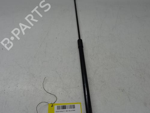 Used Hood lift support VW GOLF VII (5G1, BQ1, BE1, BE2) 1.6 TDI (110 hp) 20274302