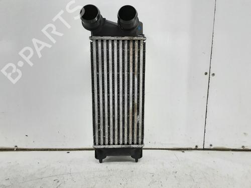 Intercooler CITROËN BERLINGO Box Body/MPV (B9) 1.6 BlueHDi 100 | BP33736473M30 - Image 3