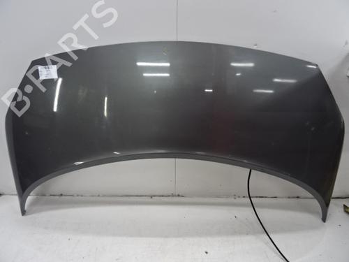 Used Hood RENAULT GRAND SCÉNIC II (JM0/1_) 1.9 dCi (116 hp) 20271153