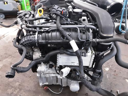 Used Engine Engine AUDI Q3 (F3B) 35 TFSI Mild Hybrid (150 hp) 36365707 36365707