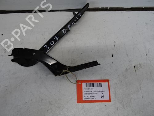 Used Hinge/Door check strap PEUGEOT 307 (3A/C) 2.0 HDi 110 (107 hp) 20284550