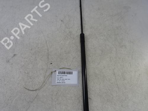 hood-lift-support-audi-q3-8ub-8ug-2011-2012-2013-2014-2015-2016-2017-2018-2019-2020-39057050 main image