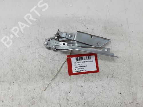 Used Hinge/Door check strap VW GOLF V (1K1) 2.0 TDI 16V (140 hp) 20284528