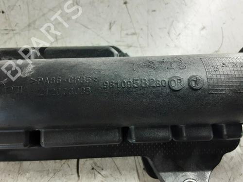 Pipe PEUGEOT 3008 II SUV (MC_, MR_, MJ_, M4_) 1.5 BlueHDi 130 | BP31604697M125