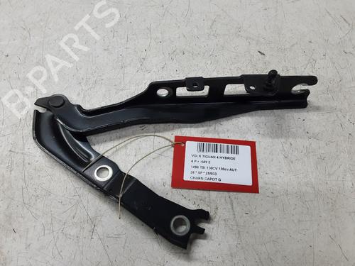 Used Hinge/Door check strap VW TIGUAN (CT1) 1.5 eTSI (131 hp) 31708506