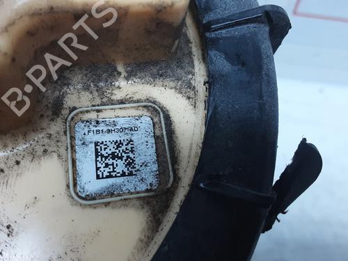 Fuel pump FORD FIESTA VI (CB1, CCN) 1.5 TDCi | BP20273134M76 
