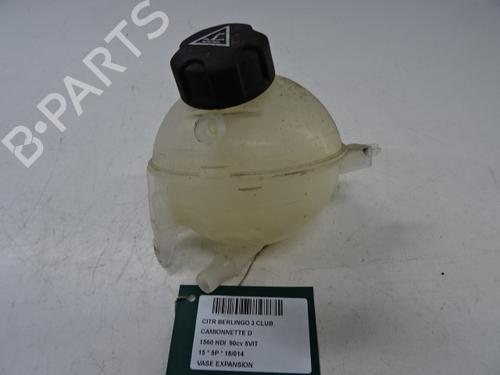 expansion-tank-citroen-berlingo-multispace-b9-2008-39054452 main image