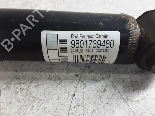 Right rear shock absorber CITROËN C3 II (SC_) 1.0 VTi 68 | BP32246045M19