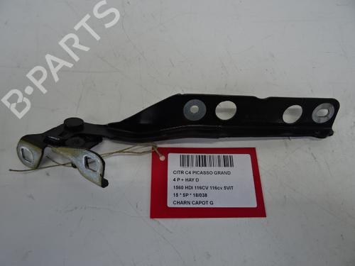Used Hinge/Door check strap CITROËN C4 Grand Picasso II (DA_, DE_) 1.6 HDi / BlueHDi 115 (115 hp) 20275101