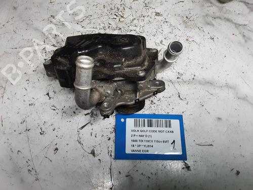 Used Egr Egr VW GOLF VII (5G1, BQ1, BE1, BE2) 1.6 TDI (110 hp) 36365404 36365404