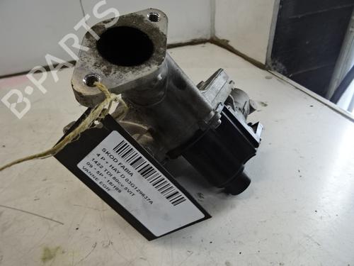 Used Egr SKODA FABIA II (542) 1.4 TDI (80 hp) 20273869
