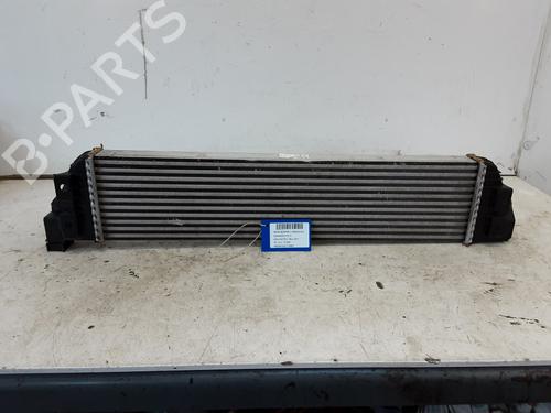 Intercooler RENAULT MASTER III Platform/Chassis (EV, HV, UV) 2.3 dCi 130 FWD (EV0Y, HV0Y, UV0M, UV0Y, UV03) | BP32243270M30