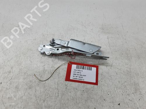 Hinge/Door check strap VW GOLF V (1K1) 2.0 TDI 16V | BP23503747C146 