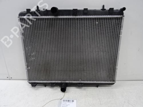 water-radiator-ds-ds-3-sa_-2015-2016-2017-2018-2019-39051751 main image