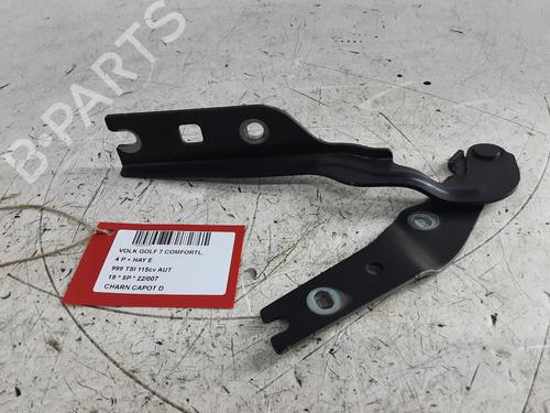 Dørhængsel/Dørbegrænser VW GOLF VII (5G1, BQ1, BE1, BE2) 1.0 TSI (115 hp) 33007620