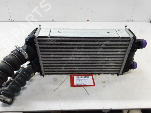 Intercooler PEUGEOT 2008 II (UD_, US_, UY_, UJ_, UR_, UC_) 1.5 BlueHDI 130 | BP32248497M30