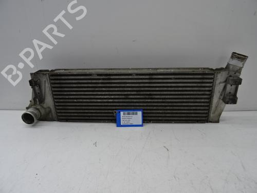 Used Intercooler Intercooler RENAULT MEGANE II Saloon (LM0/1_) 1.5 dCi (LM0F, LM0T, LM2B) (82 hp) 20272893 20272893