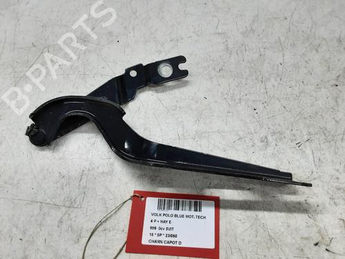 Used Hinge/Door check strap VW POLO VI (AW1, BZ1, AE1) 1.0 TSI (95 hp) 22176716