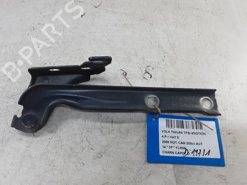 Used Hinge/Door check strap VW TIGUAN (5N_) 2.0 TFSI 4motion (200 hp) 20277325
