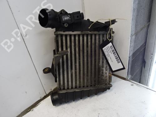 Used Intercooler SKODA FABIA I Combi (6Y5) 1.4 TDI (70 hp) 20272902
