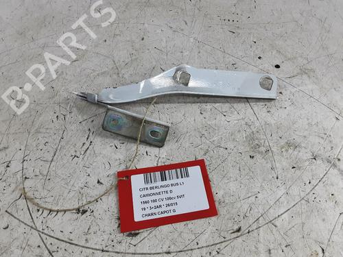 Used Hinge/Door check strap Hinge/Door check strap CITROËN BERLINGO Box Body/MPV (B9) 1.6 BlueHDi 100 (99 hp) 33736508 33736508