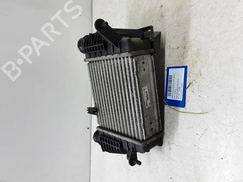 Intercooler RENAULT CLIO III (BR0/1, CR0/1) 1.5 dCi (C/BR0G, C/BR1G) | BP20272948M30 