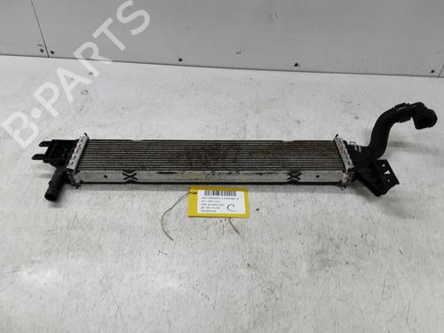 Water radiator DACIA SANDERO II TCe 90 (B8M1, B8MA, B8AC) | BP36669604M31 - Image 3