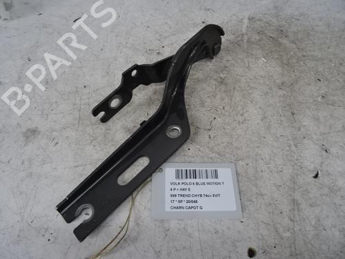 Used Hinge/Door check strap VW POLO VI (AW1, BZ1, AE1) 1.0 (75 hp) 20276096