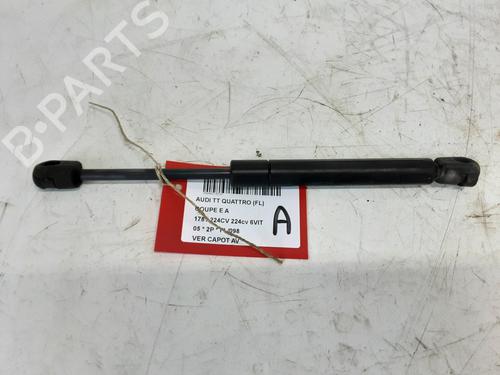 hood-lift-support-audi-tt-8n3-1998-1999-2000-2001-2002-2003-2004-2005-2006-2007-32246350 main image