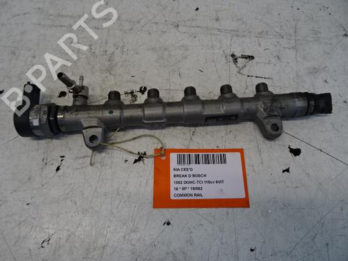 Used Injection rail Injection rail KIA CEE'D Sportswagon (JD) 1.6 CRDi 110 (110 hp) 20273940 20273940