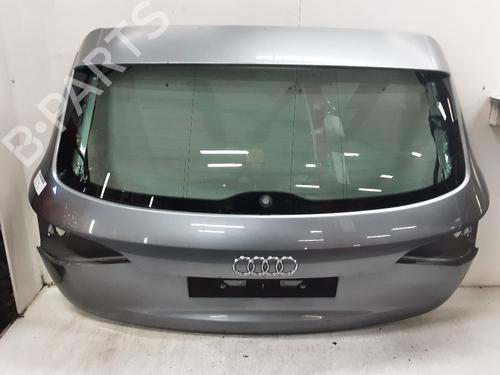 tailgate-audi-q5-8rb-2008-2009-2010-2011-2012-2013-2014-2015-2016-2017-2018-2019-25884373 main image