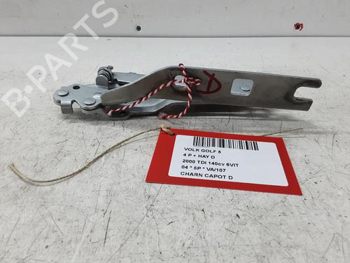 Used Hinge/Door check strap VW GOLF V (1K1) 2.0 TDI 16V (140 hp) 23503747