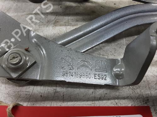 Hinge/Door check strap PEUGEOT 3008 II SUV (MC_, MR_, MJ_, M4_) 1.5 BlueHDi 130 | BP20280491C146