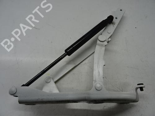 hingedoor-check-strap-fiat-500-c-312_-2009-39056030 main image