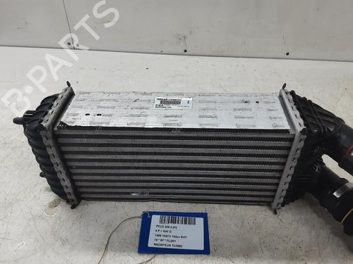 Intercooler PEUGEOT 208 I (CA_, CC_) 1.5 BlueHDI 100 (102 hp) 32245278