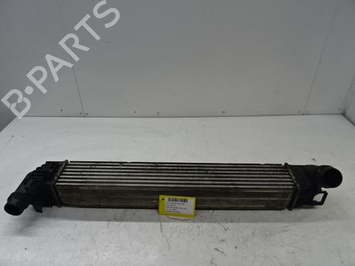 Used Intercooler DACIA DUSTER (HS_) 1.5 dCi (109 hp) 20272885