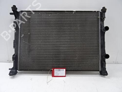 water-radiator-renault-megane-ii-saloon-lm01_-15-dci-lm0f-lm0t-lm2b-2003-20270426 main image