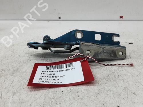 hingedoor-check-strap-vw-golf-v-1k1-2003-2004-2005-2006-2007-2008-2009-2010-23503738 main image