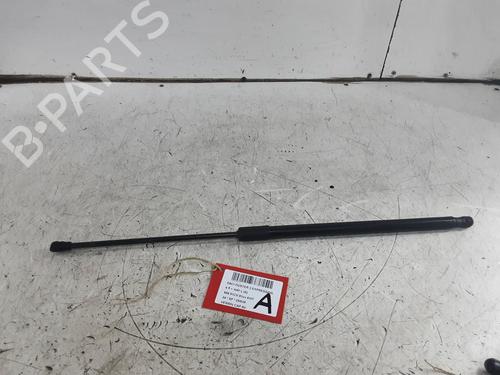 hood-lift-support-dacia-duster-pym_-pyn_-2023-32629510 main image