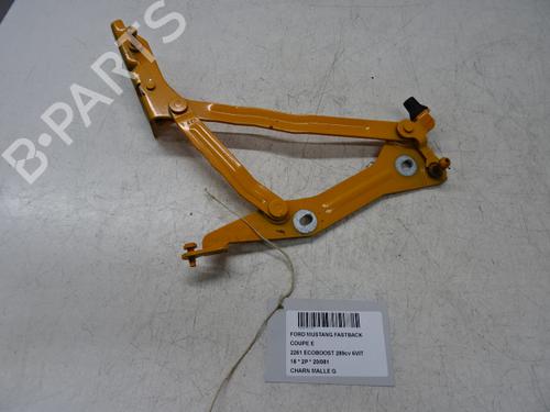 Used Hinge/Door check strap FORD USA MUSTANG Coupe 2.3 EcoBoost (290 hp) 20274934