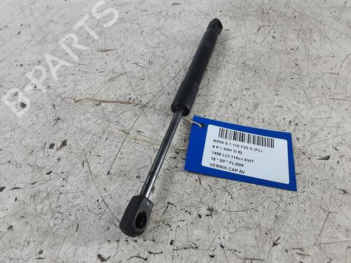 Hood lift support BMW 1 (F20) 116 d | BP32245598C139
