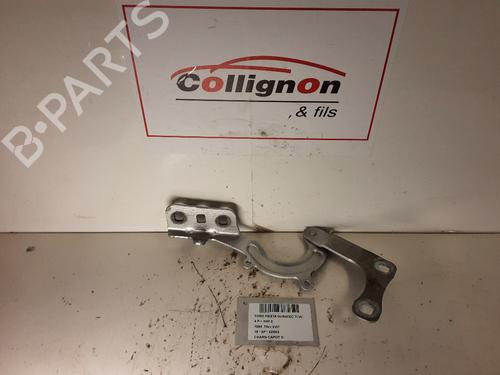 Hinge/Door check strap FORD FIESTA VII (HJ, HF) 1.1 Ti-VCT | BP20278057C146 