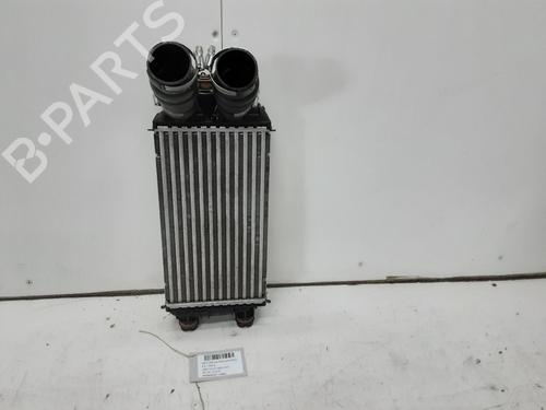 Intercooler DS DS 3 / DS 3 CROSSBACK (UR_, UC_, UJ_) 1.5 BlueHDi 100 (UCYHYJ) | BP39058547M30 - Image 2