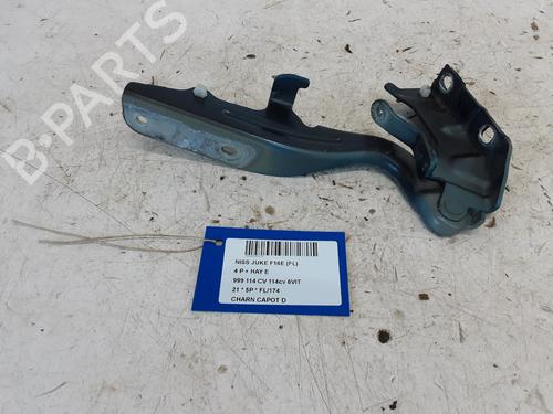 hingedoor-check-strap-nissan-juke-f16_-2019-32243482 main image