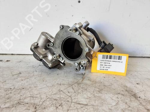 Egr Egr 39054954 39054954