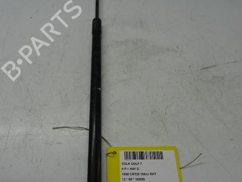 Used Hood lift support VW GOLF VII (5G1, BQ1, BE1, BE2) 1.6 TDI (105 hp) 20274294